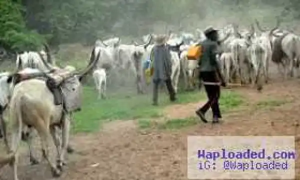 Herdsmen returns to Nimbo, allegedly rapes 6 women as military abandons them